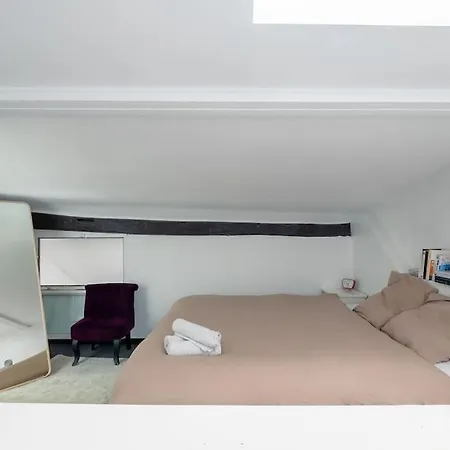 Joli Duplex Au Coeur Du Marais * Paris