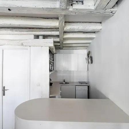 Joli Duplex Au Coeur Du Marais דירה *