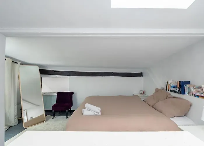 Joli Duplex Au Coeur Du Marais * 巴黎