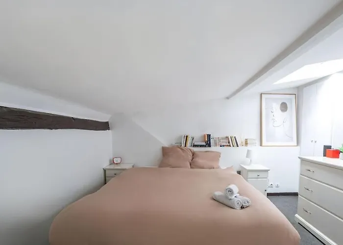 Joli Duplex Au Coeur Du Marais 公寓 巴黎