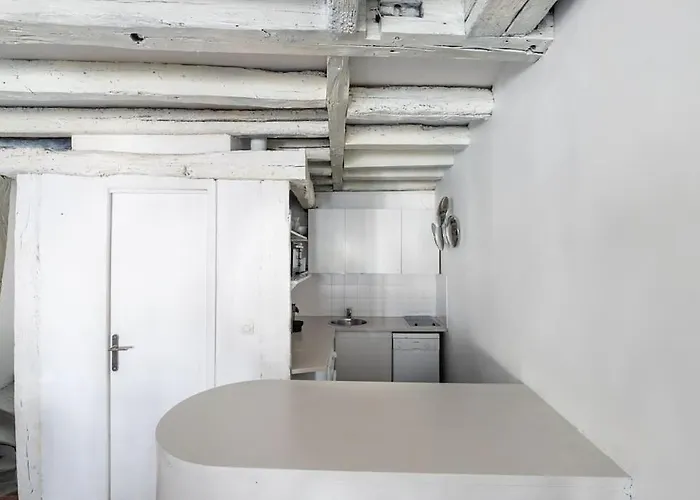 Joli Duplex Au Coeur Du Marais 公寓 *
